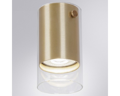 Накладной светильник Arte Lamp Lazio A5365PL-1SG Накладной светильник Arte Lamp Lazio A5365PL-1SG