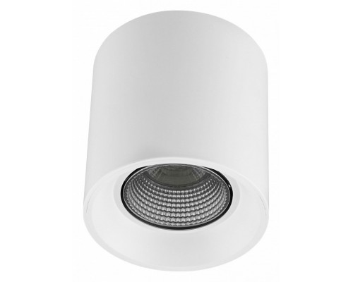 Накладной светильник Denkirs DK3040 DK3090-WH+CH Накладной светильник Denkirs DK3040 DK3090-WH+CH