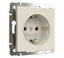 Розетка с заземлением, без рамки Werkel айвори матовый W1171062