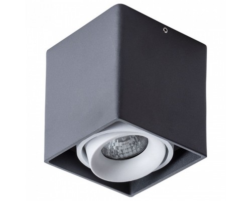 Накладной светильник Arte Lamp Pictor A5654PL-1BK Накладной светильник Arte Lamp Pictor A5654PL-1BK