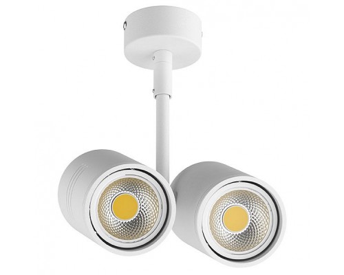 Светильник на штанге Lightstar Rullo 214446 Светильник на штанге Lightstar Rullo 214446