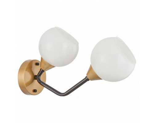 Бра Favourite Germen 2550-2W Бра Favourite Germen 2550-2W