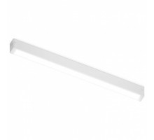 Накладной светильник Ambrella Light GL GL1665