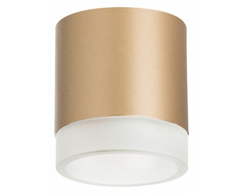 Накладной светильник Lightstar Rullo R349080 Накладной светильник Lightstar Rullo R349080