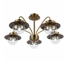 Потолочная люстра EVOLUCE Garonni SLE110102-05 Потолочная люстра EVOLUCE Garonni SLE110102-05