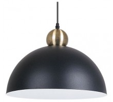 Подвесной светильник Arte Lamp Recinto A7053SP-1BK