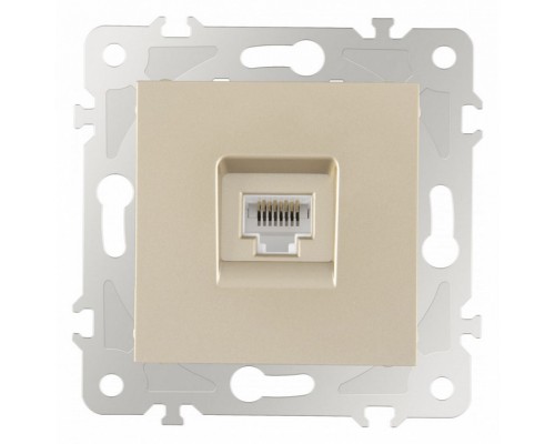 Розетка Ethernet RJ-45 без рамки Arte Milano am-203 203.45-1.shampan