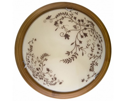 Накладной светильник TopLight Irene TL9630Y-00OA Накладной светильник TopLight Irene TL9630Y-00OA