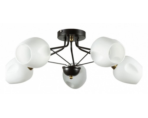 Потолочная люстра Arte Lamp Brighton A2706PL-5CK Потолочная люстра Arte Lamp Brighton A2706PL-5CK