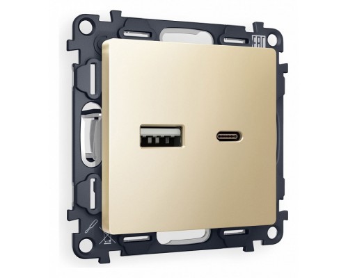 Розетка 2хUSB type A и C без рамки Ambrella Volt Quant MA611010