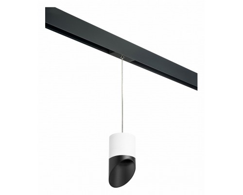 Подвесной светильник Lightstar Rullo PRORP348687 Подвесной светильник Lightstar Rullo PRORP348687