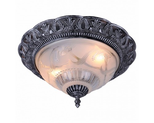 Накладной светильник Arte Lamp Piatti A8001PL-2SB