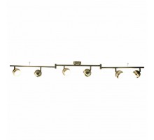 Спот Arte Lamp Venerd A6009PL-6AB