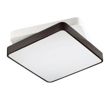Накладной светильник Lumion Agatha 4511/72CL