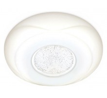 Накладной светильник Ambrella Orbital Design F201 WH 48W D370