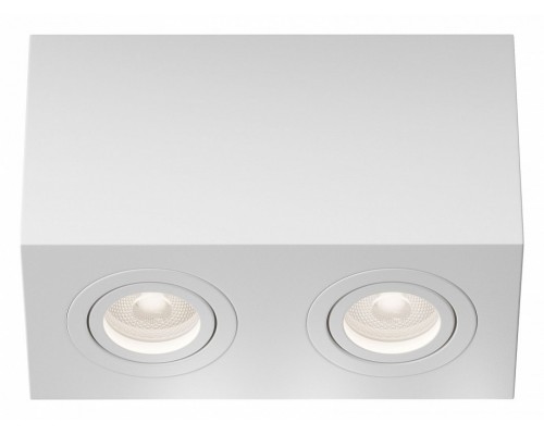 Накладной светильник Maytoni Technical Atom C017CL-02W