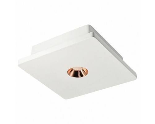 Накладной светильник Loft it Architect OL1072-WG/1 Накладной светильник Loft it Architect OL1072-WG/1