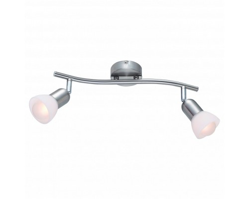 Спот Arte Lamp Falena A3115PL-2SS Спот Arte Lamp Falena A3115PL-2SS