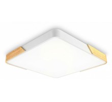 Накладной светильник Ambrella Light FZ FZ1313