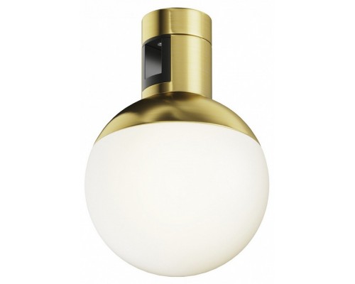 Накладной светильник Maytoni Technical Luna TR149-1-5W3K-BS