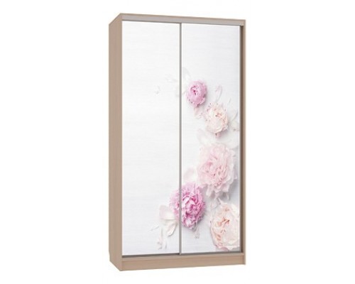 Шкаф-купе Рио 7-600 17 Шкаф-купе Рио 7-600 17